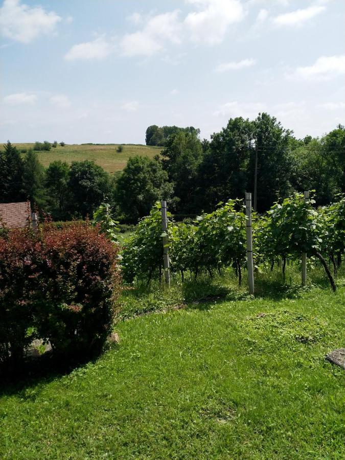 Appartamento Casavitis Erholung Am Weinberg Lontzen Esterno foto