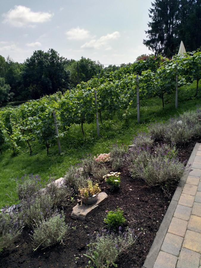 Appartamento Casavitis Erholung Am Weinberg Lontzen Esterno foto