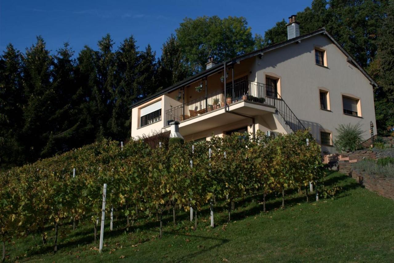 Appartamento Casavitis Erholung Am Weinberg Lontzen Esterno foto